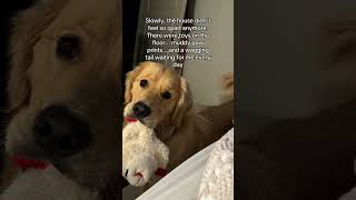 Loving another dog didn’t erase those memories, it just gave me new ones to make. 🐶🤍#yumwoof #ad Loving another dog didn’t erase those memories, it just gave me new ones to make. 🐶🤍#yumwoof #ad