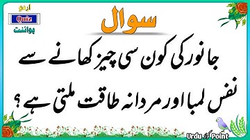 Top Islamic Questions and Answers - Islamic Paheli Urdu Sawal Jawab - Urdu Quiz Point