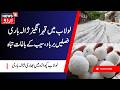 Severe Hailstorm in Lolab, Apple & Other Crops Damaged | لولاب میں ژالہ باری سے بھاری تباہی | News18