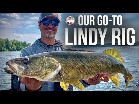 HOW-TO Lindy Rig Walleyes like A PRO!! 