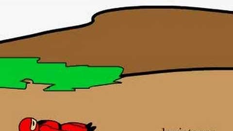 red vs blue ninja(flash animation)