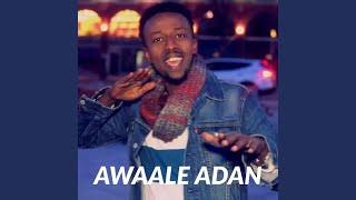 Download Lagu Mahdia