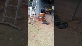 Bees moving in episode 1 part 2 20201007