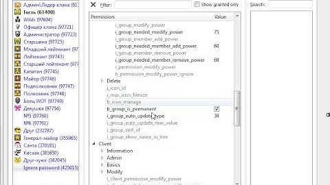 Ignore Password TeamSpeak 3 Server
