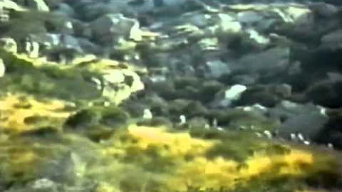 Custer - The Gauntlet