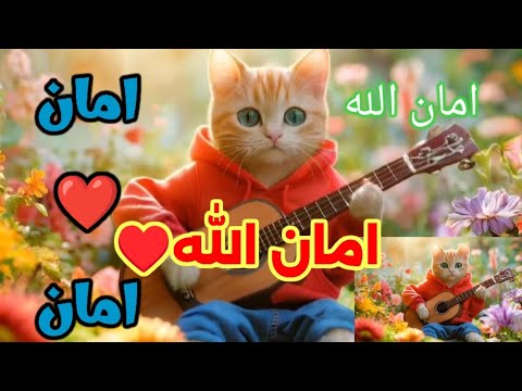 اغنية امان امان الله اغنية باسم امان أمان امان الله امان امان المغرب فلسطين السعودية تونس