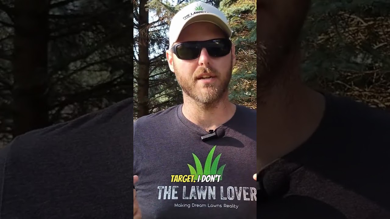 Stop Missing the Main Runway #moletrap #lawncare #diy