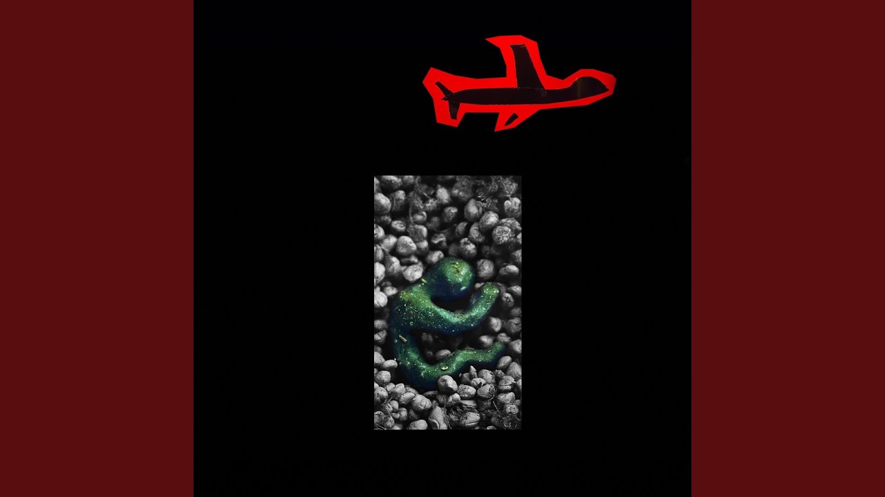 Guarda Shells su YouTube Guarda Shells su YouTube