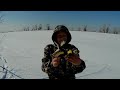 Ловля Щеглов и Реполова!!! Catching Goldfinches and Replies!!!