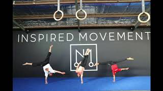 Hand balancing/Bodyweight Training December 2017