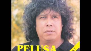 Video thumbnail of "Cama y Mesa - Pelusa"