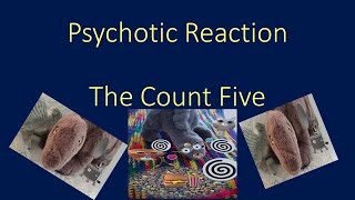 The Count Five   Psychotic Reaction   karaoke