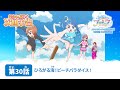 ひろがるスカイ!プリキュア 第30話 予告「ひろがる海!ビーチパラダイス!」