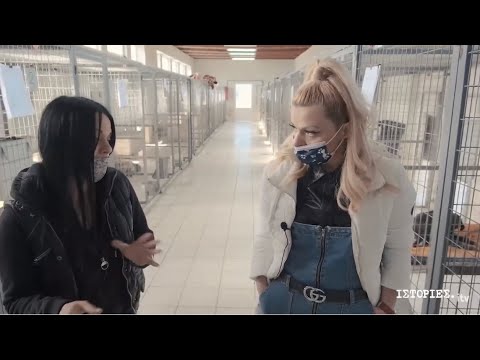 Βίντεο: Γιατί τα κατοικίδια ζώα Pee: Αναγνώριση ενός προβλήματος και προώθηση μιας υγιούς ουροποιητικής οδού