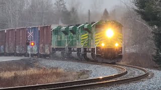 Nice Approach View of NBSR Train 121 at Welsford!