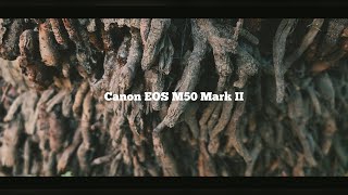 Canon M50 Mark ii Cinematic Video Test