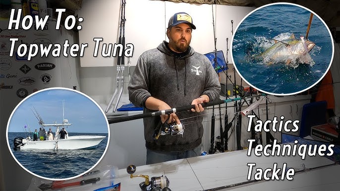 Favorite spinning popping rod for tuna?