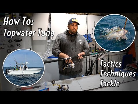 How to: Topwater Tuna Fishing 