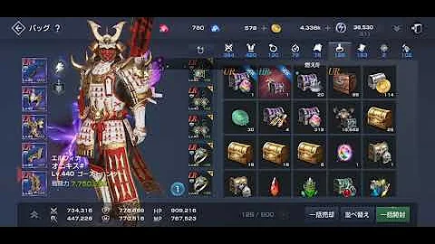 リネレボ オプション 防具 リネレボ オプション 防具