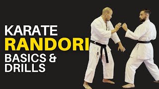 Karate Randori: Basics and Flow Drills