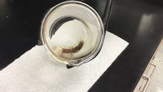 Quant Lab Video 5