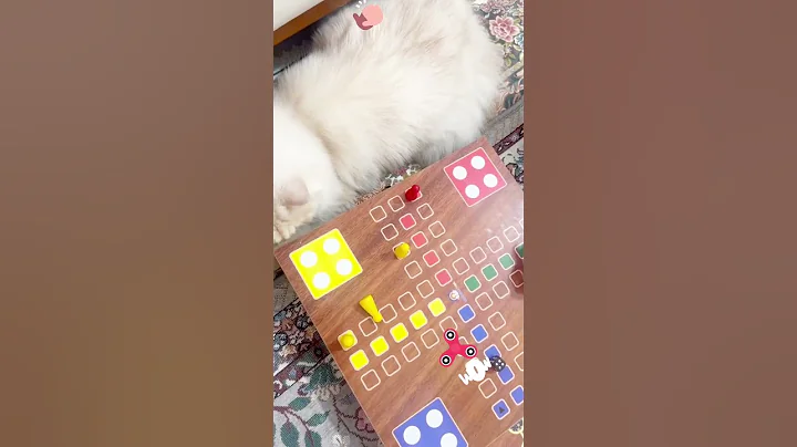 Video 7483291: cat funny entertainment animals, cat funny cute entertainment, cats playing funny animals