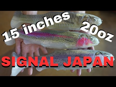 に*イ様 SIGNAL ULTRA CARP Ver2 (KILLER CARP Signal Ultra Carp Version 2 Dark Rainbow swimbait Japan fishing