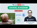 Animal Kingdom - Lecture 6 | Mollusca | Unacademy NEET | NEET LIVE DAILY | NEET Biology | Sachin Sir