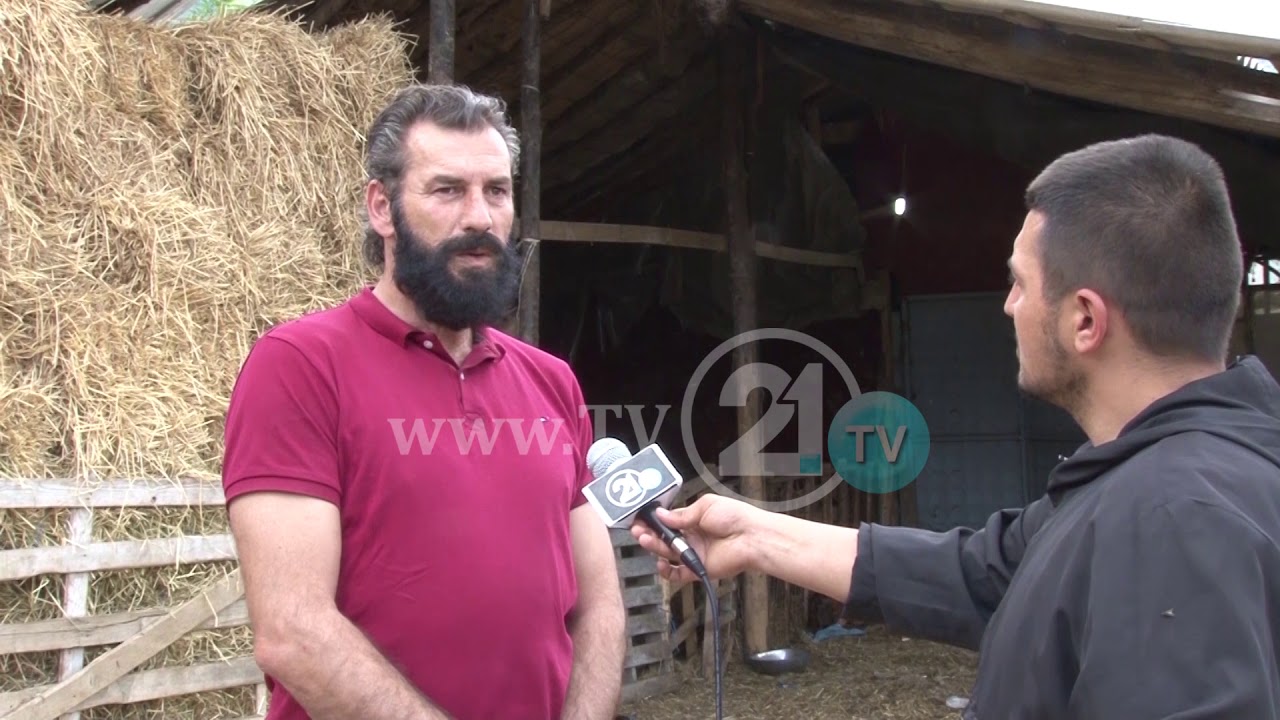 Некогаш командант на УЧК и пратеник, денес чува овци