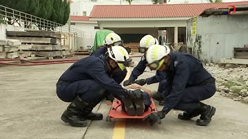 14 Collapsible Stretcher