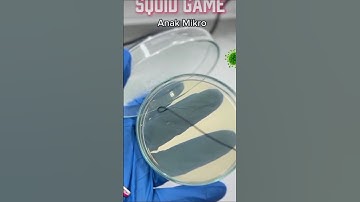 Anak mikro 🦠 #laboratory #science #laboratorytechniques #labtechnition #lab #microbiology #shorts