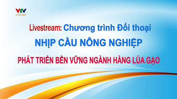 🔴 Livestream NHỊP CẦU NÔNG NGHIỆP: Phát triển bền vững ngành hàng lúa gạo