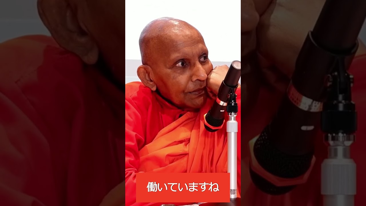 存在の矛盾 他を支配しようとして支配される #スマナサーラ長老 #生命論 #仏教哲学 #jtba