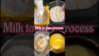 How to make ghee from milk/milk to ghee process recipe/how to make ghee from cow milk at home/mixi