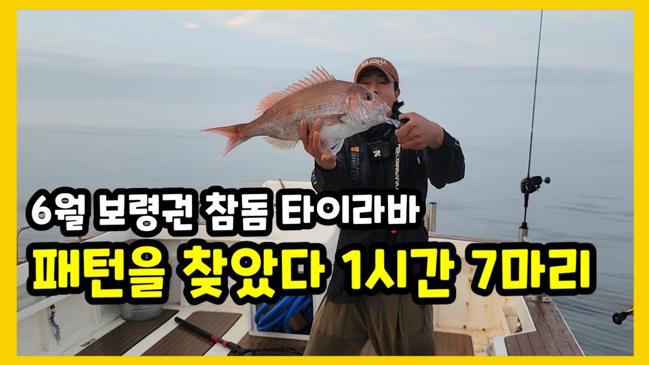 6월 서해 참돔타이라바 타이라바 낚시방법 참돔낚시 - YouTube