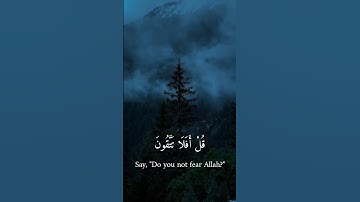 سورة المؤمنون | ياسر الدوسري #ياسر_الدوسري #سورة_المؤمنون #قرآن #اجر_لي_ولكم #quran