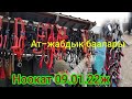 Аргымакка Шубалар Ат-жабдык баалары Ноокат 9-январь 22жыл