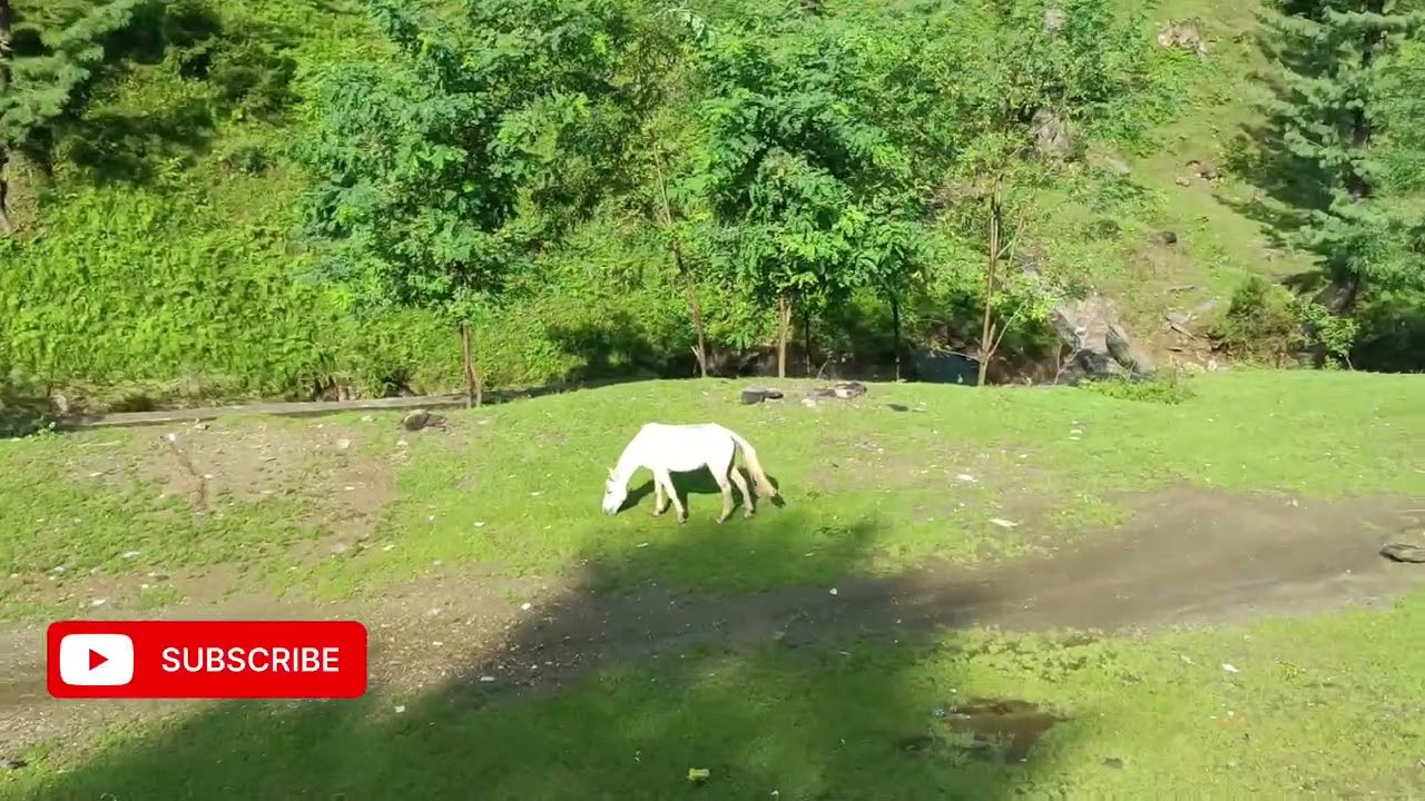 swat valley shangla vlog 2025