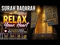 Full Surah Al-Baqarah | Relax Your Heart | سورۃ البقرہ subscribe and share #quranshorts