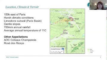 Discover Champagne with Lauren Denyer DipWSET