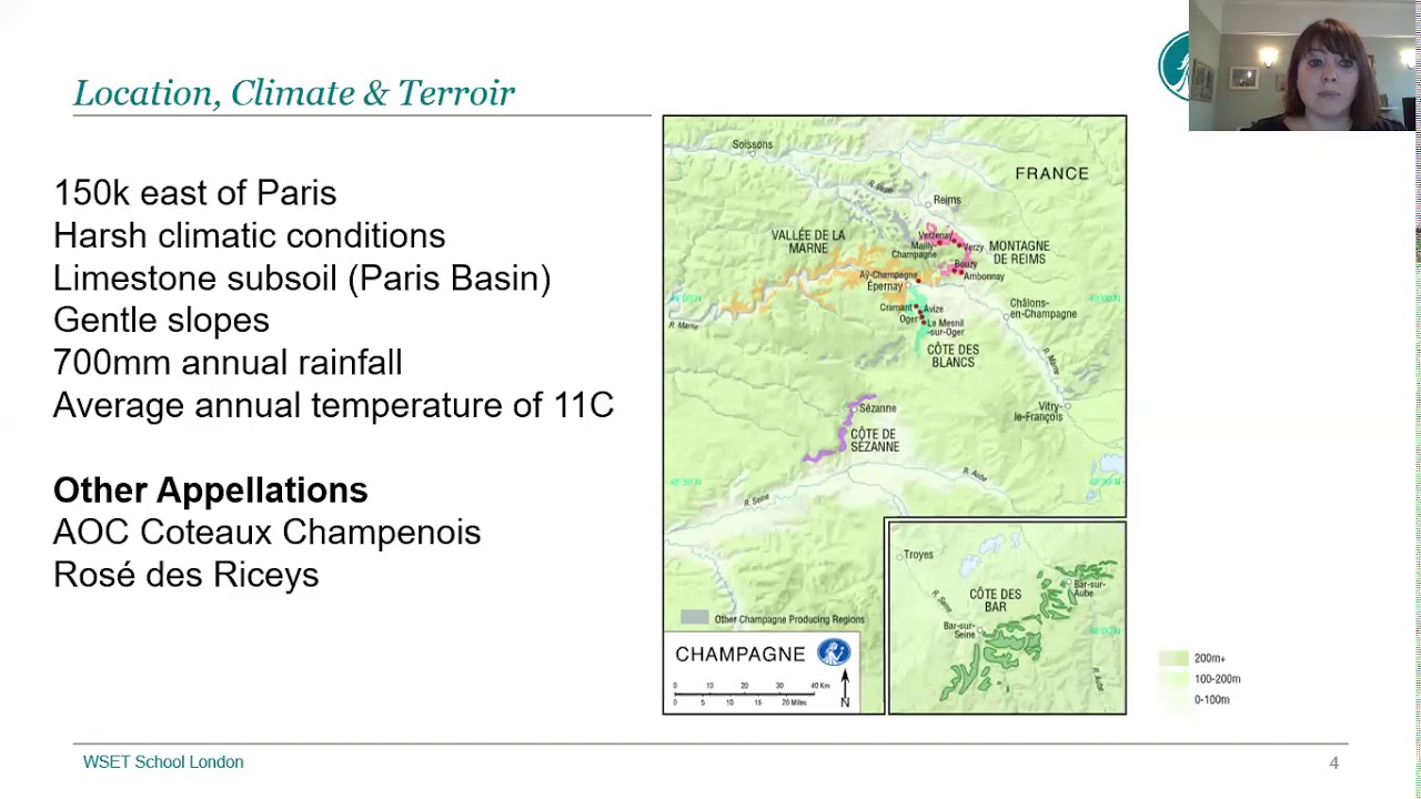 Discover Champagne with Lauren Denyer DipWSET
