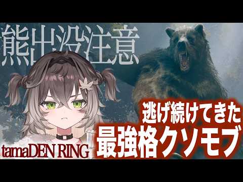 アキネーターちーたま、熊と初実戦【龍巻ちせ/ぶいすぽっ!】