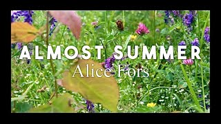 Alice Fors - Almost Summer (Official Music Video)