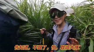 115. 7. 17 二子坪,菜公坑瀑布,勇士波,小觀音西西峰,山海觀,竹子湖.