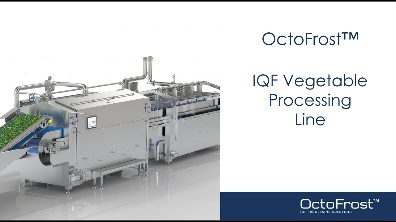 IQF Frozen Onion Processing Line - IQF Onion Freezing System Supplier
