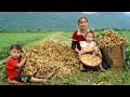 Harvest peanuts to sell at the market  take the boy home  the boys father was drunk all day