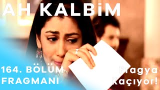 Ah Kalbim 164. Bölüm Fragmanı - Pragya Kaçıyor!