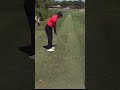 Tiger woods stinger with 3 wood #golfswing #tigerwoods #pgatour