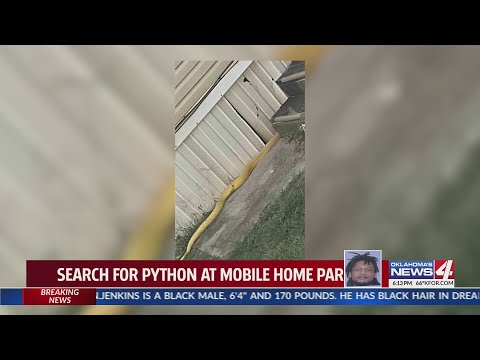 Search for python at mobile home park