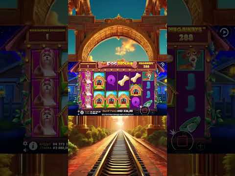 Pinco Kazino Kundalik Bepul Aylanishlar Depozit Bonusisiz Onlayn Kasino O'ynang - UZ